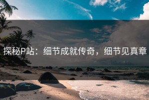 探秘P站：细节成就传奇，细节见真章