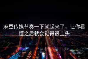 麻豆传媒节奏一下就起来了，让你看懂之后就会觉得很上头