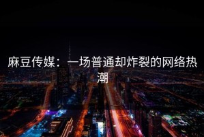 麻豆传媒：一场普通却炸裂的网络热潮