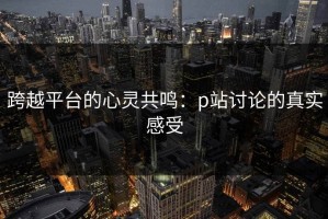 跨越平台的心灵共鸣：p站讨论的真实感受