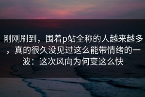 刚刚刷到，围着p站全称的人越来越多，真的很久没见过这么能带情绪的一波：这次风向为何变这么快