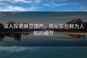深入探索麻豆国产，揭秘那些鲜为人知的细节