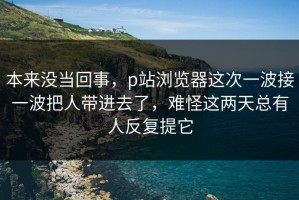 本来没当回事，p站浏览器这次一波接一波把人带进去了，难怪这两天总有人反复提它