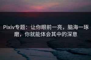 Pixiv专题：让你眼前一亮，脑海一琢磨，你就能体会其中的深意