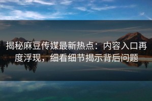 揭秘麻豆传媒最新热点：内容入口再度浮现，细看细节揭示背后问题