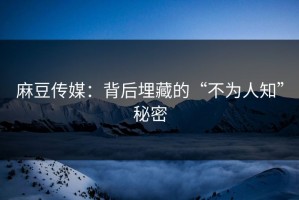 麻豆传媒：背后埋藏的“不为人知”秘密