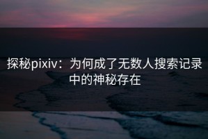 探秘pixiv：为何成了无数人搜索记录中的神秘存在