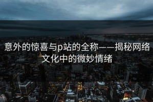 意外的惊喜与p站的全称——揭秘网络文化中的微妙情绪