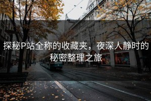 探秘P站全称的收藏夹，夜深人静时的秘密整理之旅