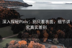 深入探秘Pixiv：别只看表面，细节讲究真实差别
