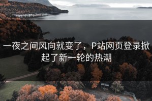 一夜之间风向就变了，P站网页登录掀起了新一轮的热潮