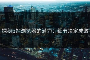探秘p站浏览器的潜力：细节决定成败