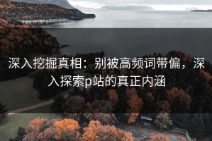 深入挖掘真相：别被高频词带偏，深入探索p站的真正内涵