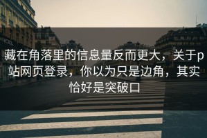 藏在角落里的信息量反而更大，关于p站网页登录，你以为只是边角，其实恰好是突破口