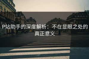 P站助手的深度解析：不在显眼之处的真正意义
