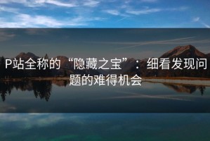 P站全称的“隐藏之宝”：细看发现问题的难得机会