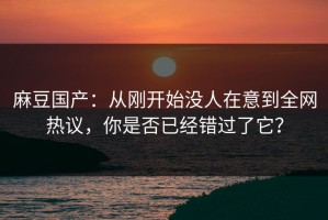 麻豆国产：从刚开始没人在意到全网热议，你是否已经错过了它？