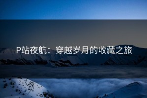 P站夜航：穿越岁月的收藏之旅