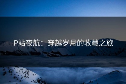 P站夜航：穿越岁月的收藏之旅