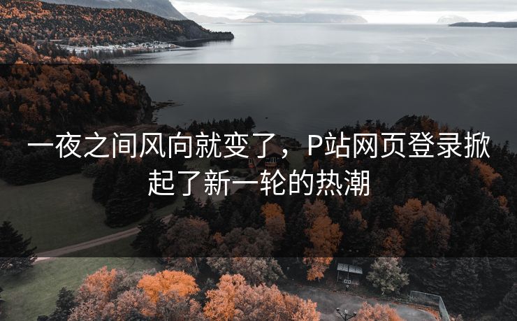 一夜之间风向就变了，P站网页登录掀起了新一轮的热潮
