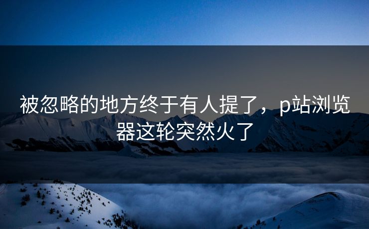 被忽略的地方终于有人提了，p站浏览器这轮突然火了