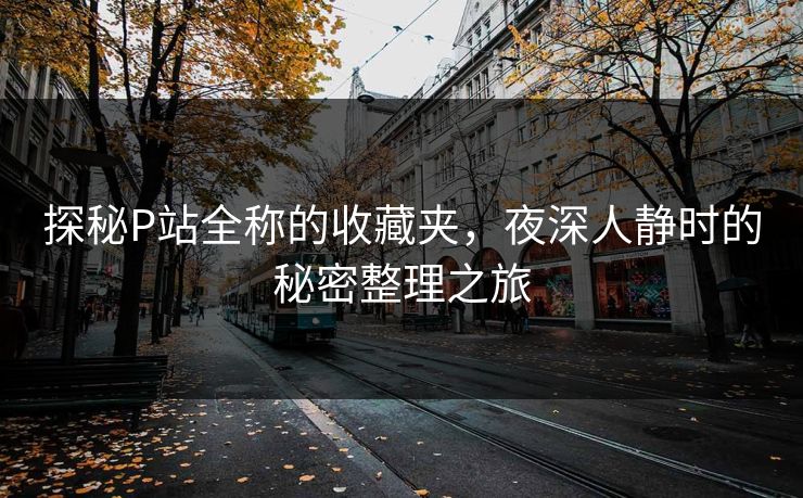 探秘P站全称的收藏夹，夜深人静时的秘密整理之旅