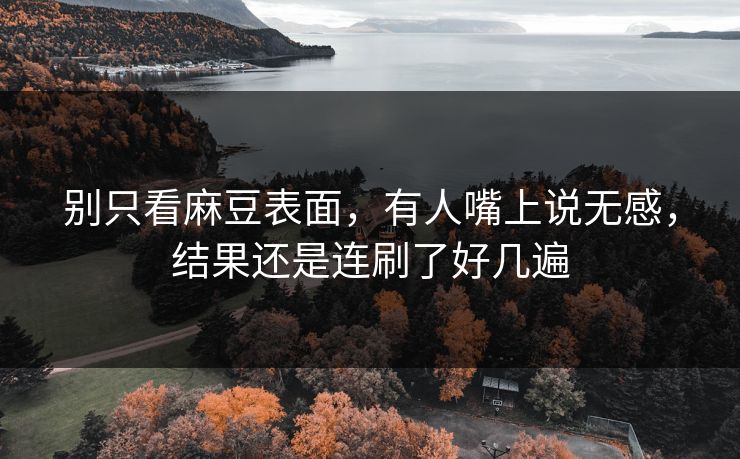 别只看麻豆表面，有人嘴上说无感，结果还是连刷了好几遍