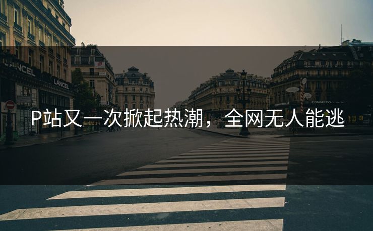 P站又一次掀起热潮，全网无人能逃