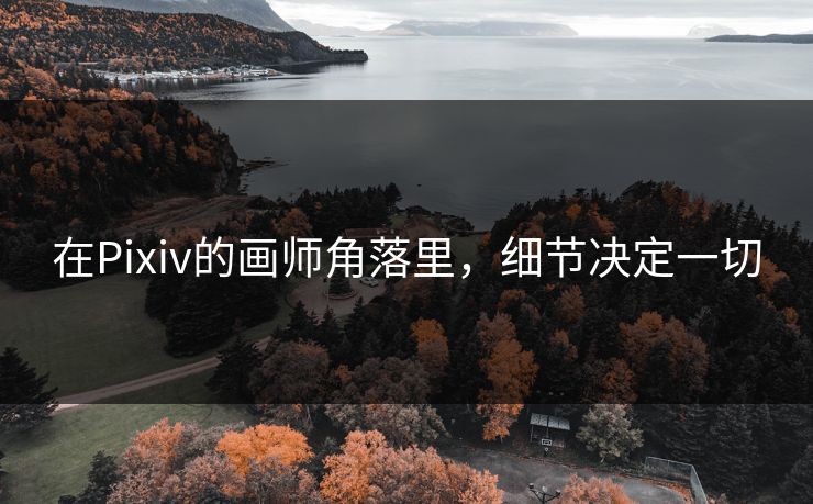 在Pixiv的画师角落里,细节决定一切 在Pixiv的画师角落里,细节决定一切