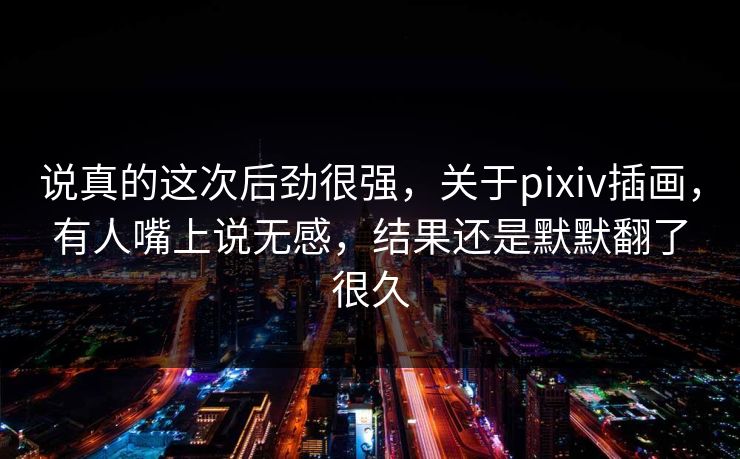 说真的这次后劲很强，关于pixiv插画，有人嘴上说无感，结果还是默默翻了很久