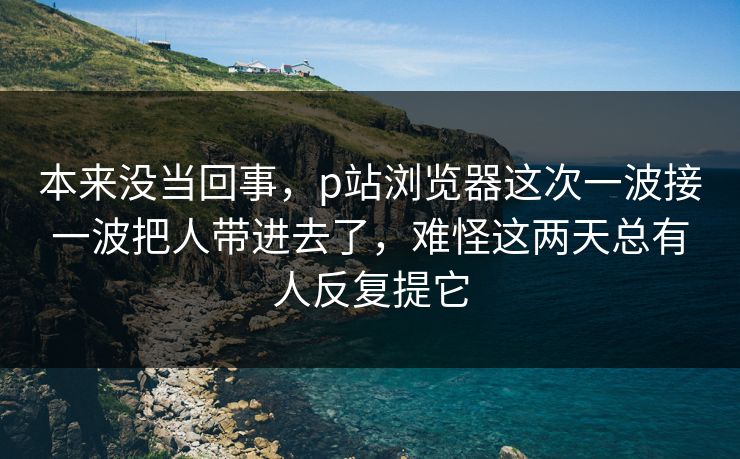 本来没当回事，p站浏览器这次一波接一波把人带进去了，难怪这两天总有人反复提它
