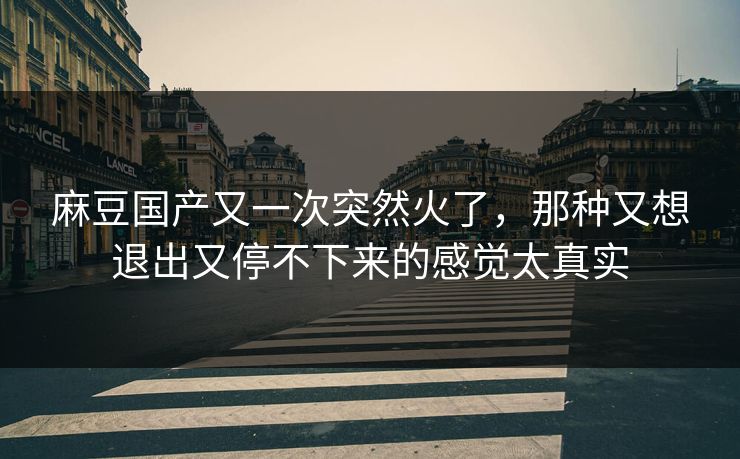 麻豆国产又一次突然火了,那种又想退出又停不下来的感觉太真实 麻豆国产又一次突然火了,那种又想退出又停不下来的感觉太真实