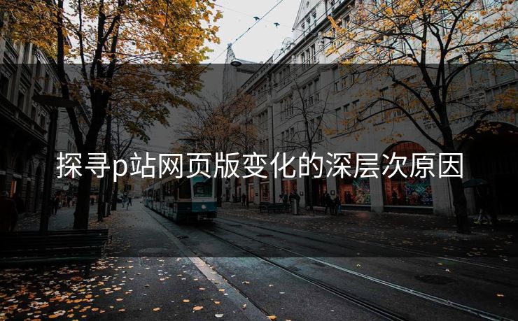 探寻p站网页版变化的深层次原因