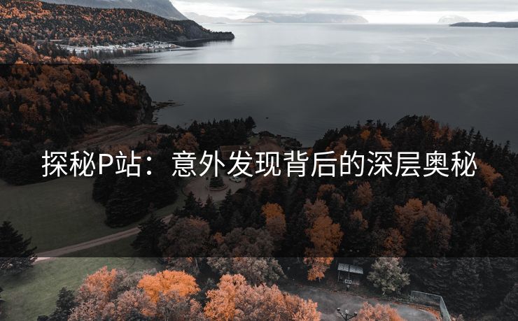 探秘P站：意外发现背后的深层奥秘