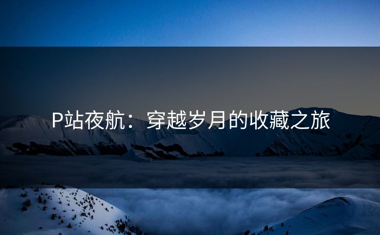 P站夜航：穿越岁月的收藏之旅