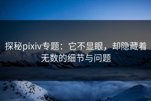 探秘pixiv专题：它不显眼，却隐藏着无数的细节与问题