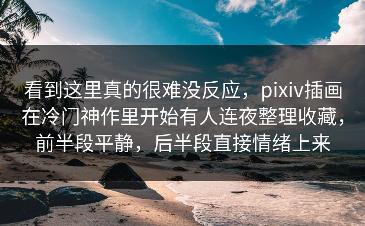 看到这里真的很难没反应，pixiv插画在冷门神作里开始有人连夜整理收藏，前半段平静，后半段直接情绪上来